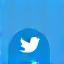 Twitter icon